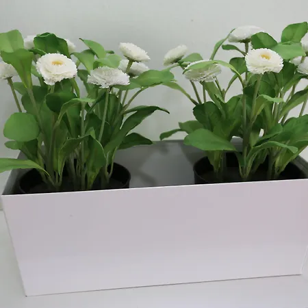 Halley Lejlighedshotel 2*