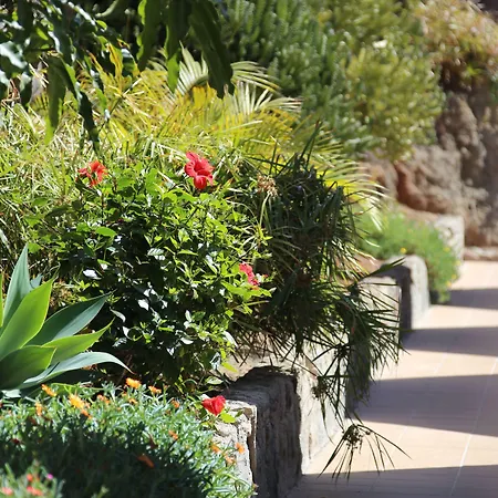 Hotel apartamentowy Halley